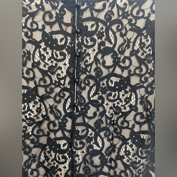 H&M Black Lace Sheath Dress with Nude Lining - Picture 4 of 5
